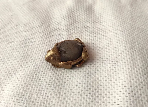 Bronze_&_River_Pebblebaby_Frog