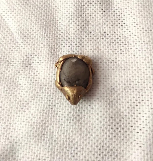 Bronze_&_River_Pebblebaby_Frog