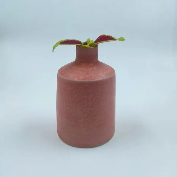 Studio_Pottery_Cylindrical_Bud_Vase|_Miniature_Stoneware_Pottery_Flower_Vase|Handglazed_Matte_Finish|_4"_Height_(Peach)