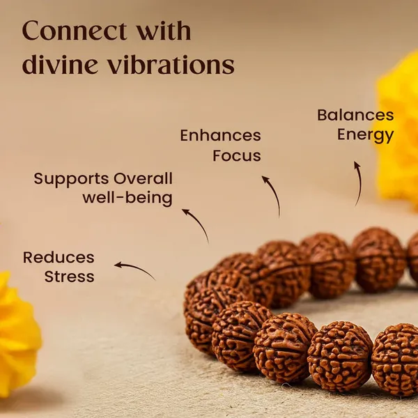 Brown_Rudraksha_5_Mukhi_108_Beads_Bracelet_For_Unisex