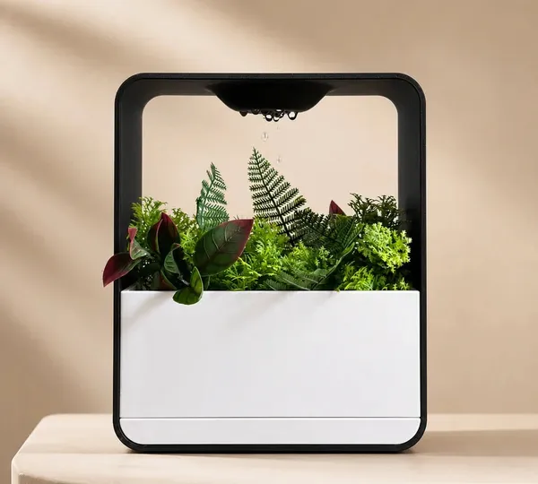 Pla_Modern_Botanical_Indoor_Planter