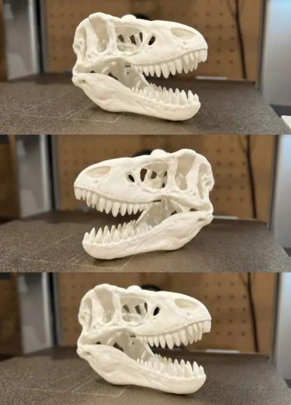 Pla_Skeletal_T-Rex_Skull_Decorative_Model