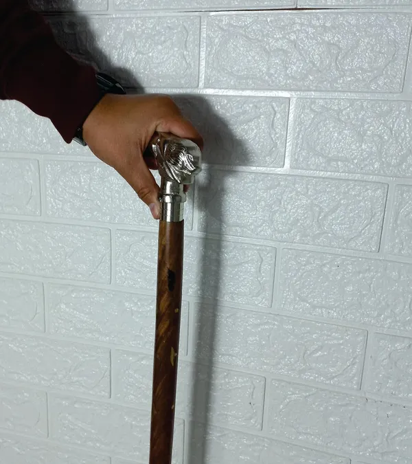 Walking_Stick_With_Aluminum_Lion_Handle