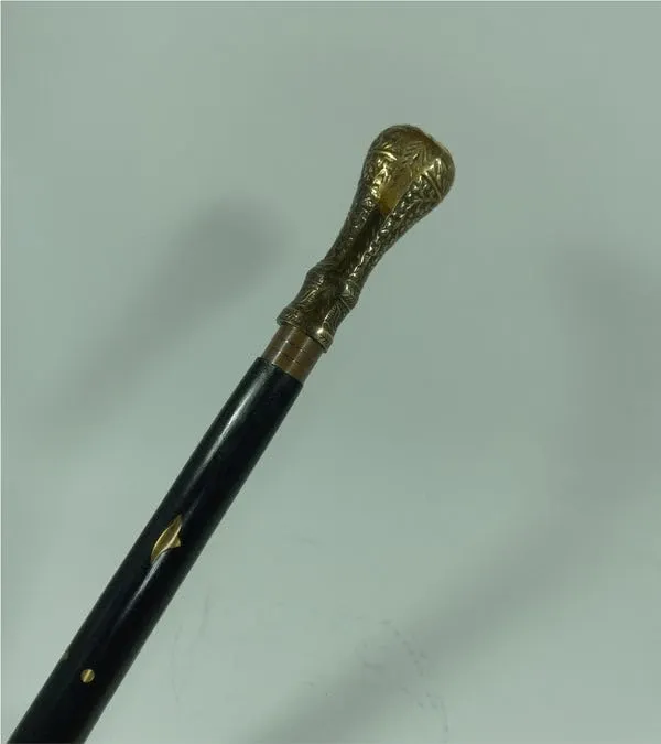 Walking_Stick_With_Brass_Knob_Handle
