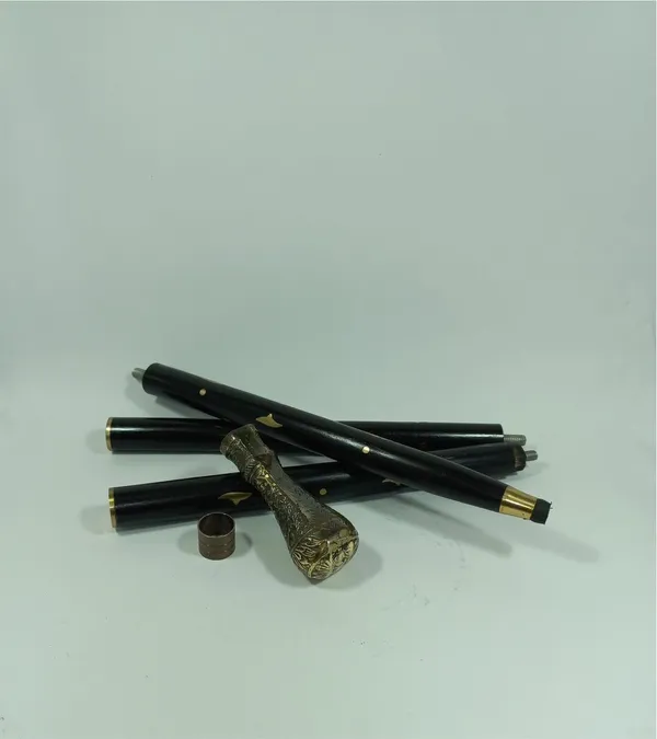 Walking_Stick_With_Brass_Knob_Handle
