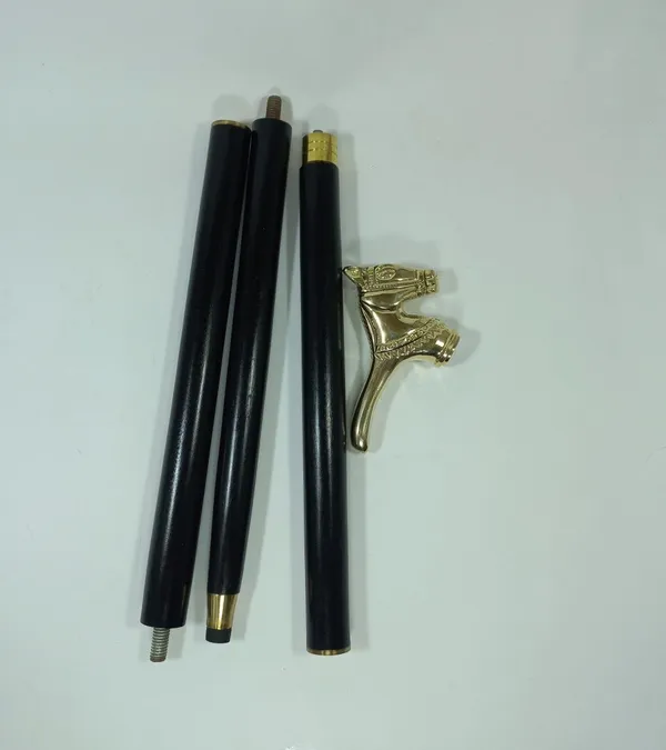 Walking_Stick_With_Brass_Horse_Handle