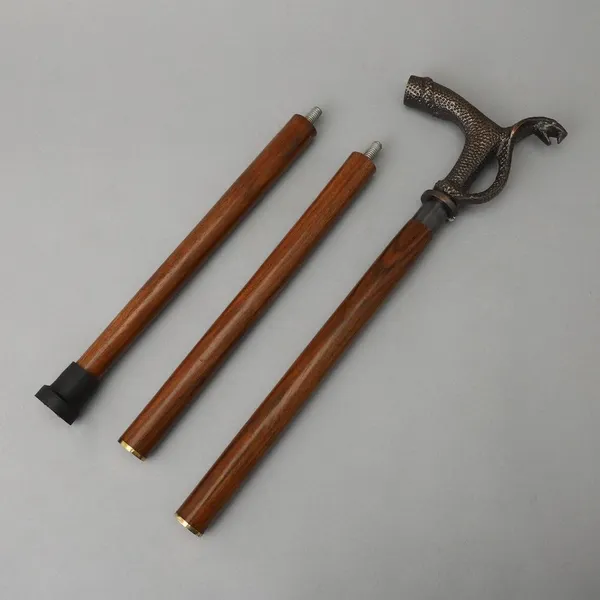 Walking_Stick_With_Snake_Handle