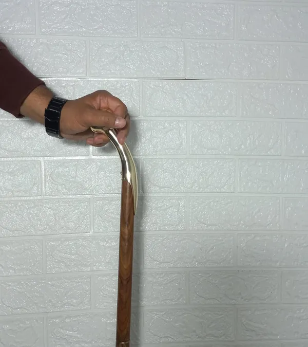 Walking_Stick_With_Brass_Derby_Handle