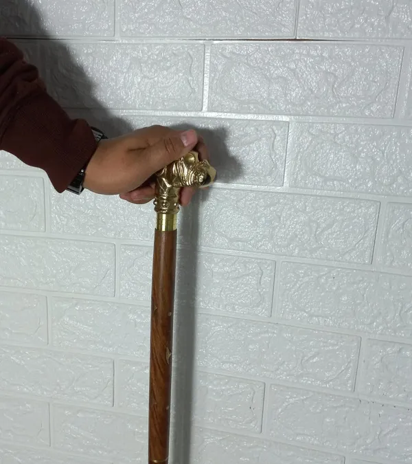 Walking_Stick_With_Brass_Bull_Dog_Handle