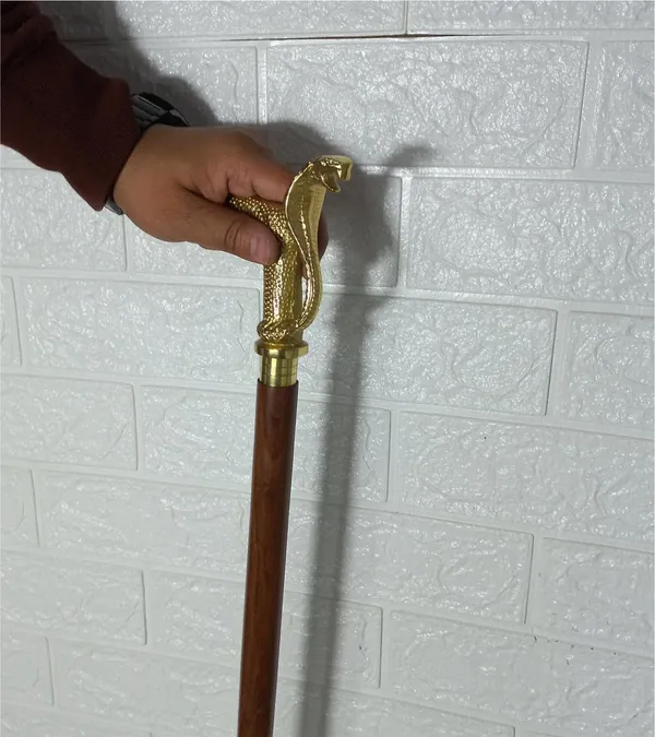 Walking_Stick_With_Brass_Handle