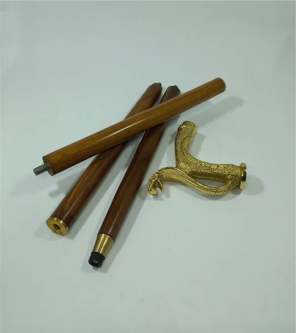 Walking_Stick_With_Brass_Handle