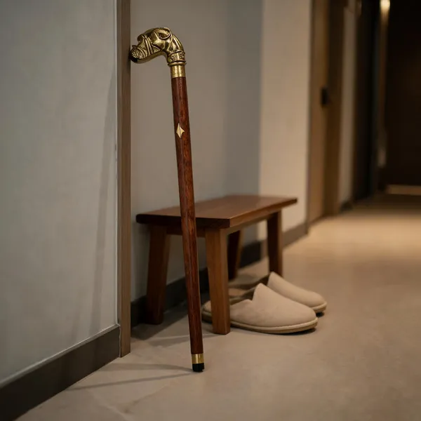 Walking_Stick_With_Brass_Bull_Dog_Handle