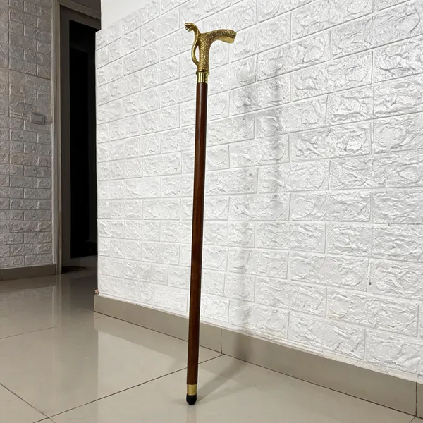 Walking_Stick_With_Brass_Handle