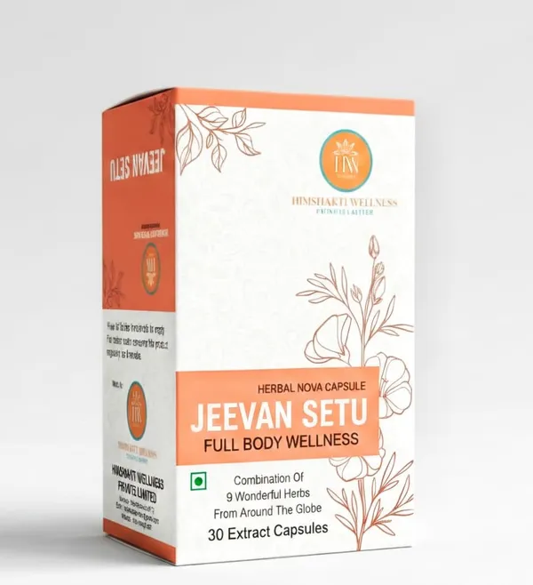 Jeevan_Setu_Herbal_Nova_Ashwagandha_Brahmi_Giloy_Extract_Capsules