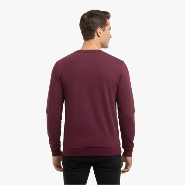 Men_S_Polyester_Sweatshirt