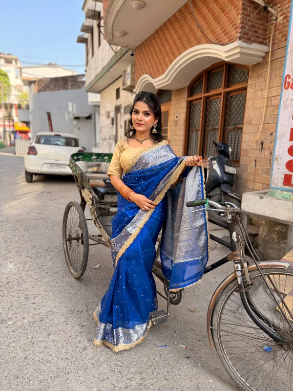 Rangmahal_Mirror_Work_Banarasi_Tissue_Silk_Saree_Navy