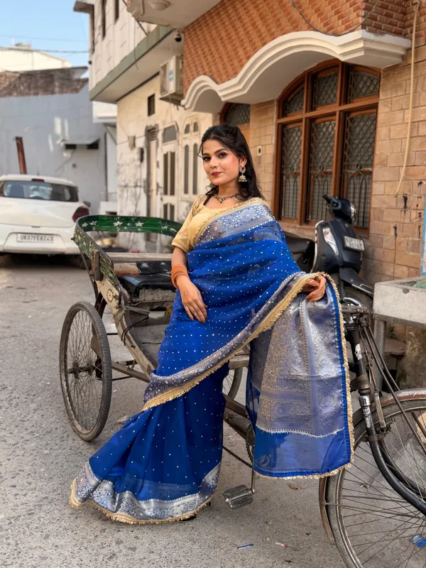 Rangmahal_Mirror_Work_Banarasi_Tissue_Silk_Saree_Navy