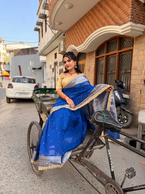 Rangmahal_Mirror_Work_Banarasi_Tissue_Silk_Saree_Navy