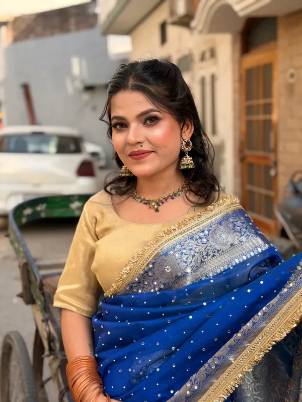 Rangmahal_Mirror_Work_Banarasi_Tissue_Silk_Saree_Navy