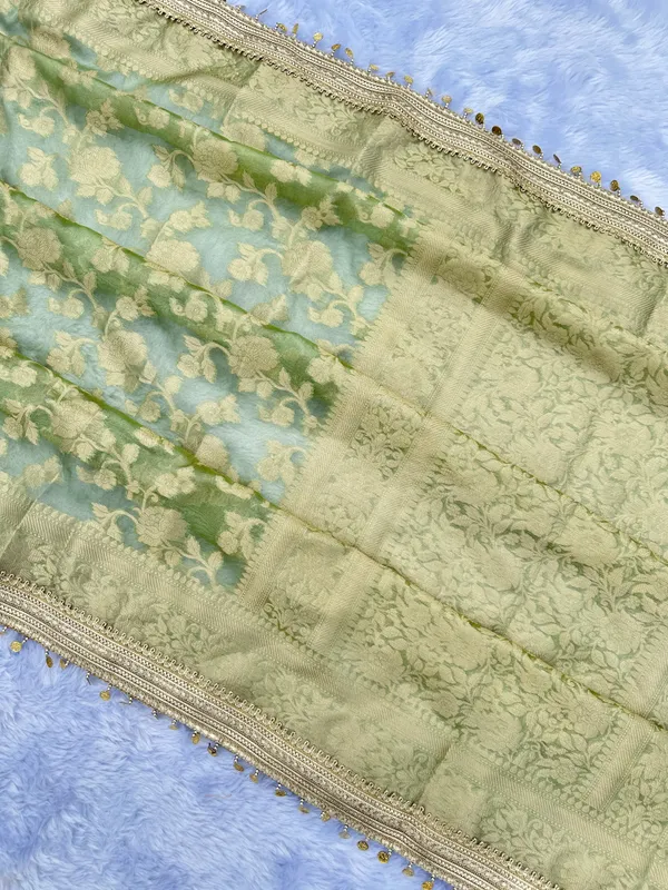 Gulab_Jaal_Coin_Lace_Tissue_Silk_Saree_Green