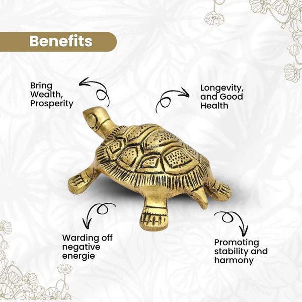 Brass_Tortoise