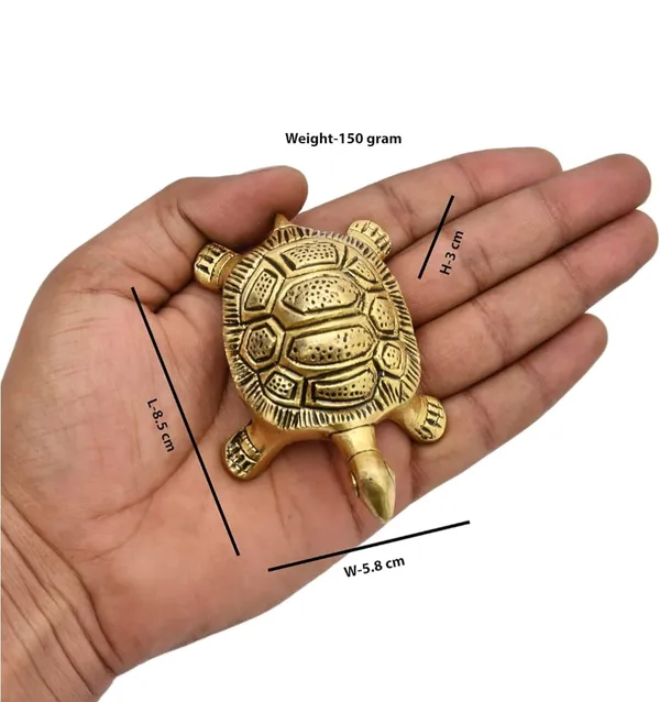 Brass_Tortoise