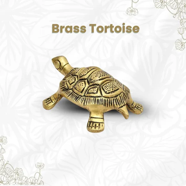 Brass_Tortoise