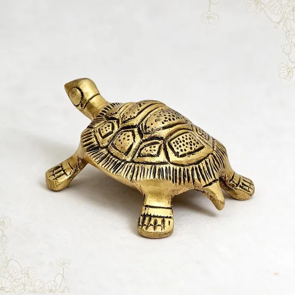 Brass_Tortoise