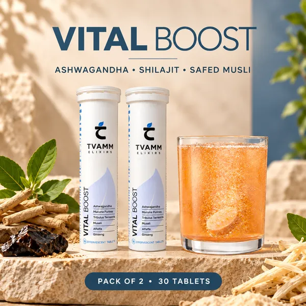 Vital_Boost_Ayurvedic_Energy_Stamina_30_Tablets(Pack_of_2)_For_Men