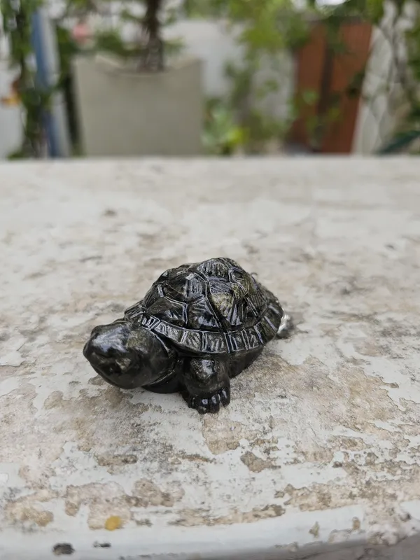 Black_Turtle_Decorative_Figurine