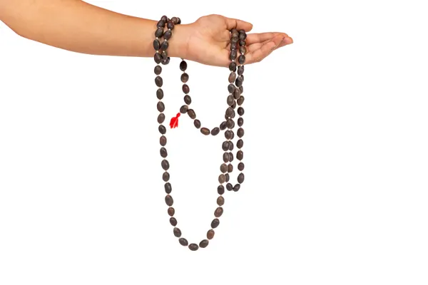 Brown_Rudraksha_Bead_Mala