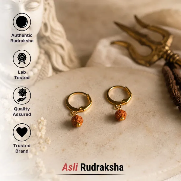 5_Mukhi_Rudraksha_Hoop_Earrings_Pack_Of_2_Pairs