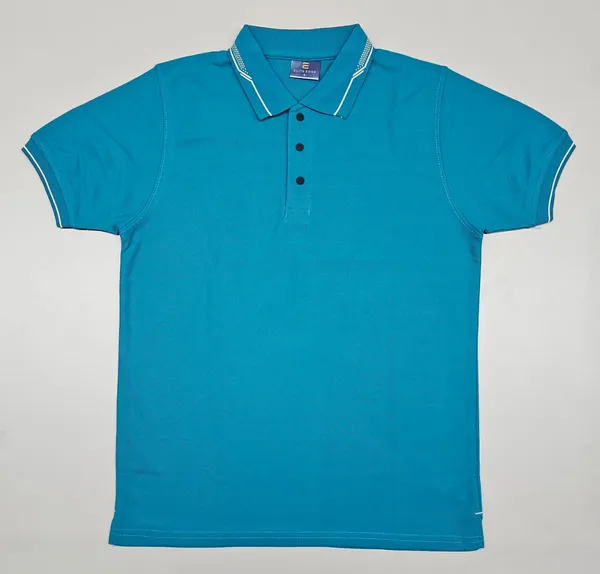 Blue_Regular_Fit_Polo_T-Shirt_for_Men