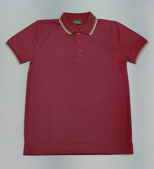 Maroon_Knit_Regular_Fit_Polo_T-Shirt_for_Men