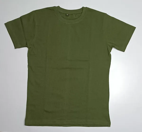 Olive_Green_Regular_Fit_Crew_Neck_T-Shirt_for_Men