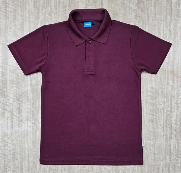 Maroon_Solid_Regular_Fit_Polo_T-Shirt_for_Men