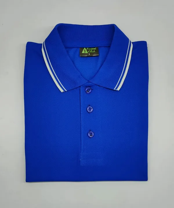 Blue_Regular_Fit_Polo_T-Shirt_for_Men