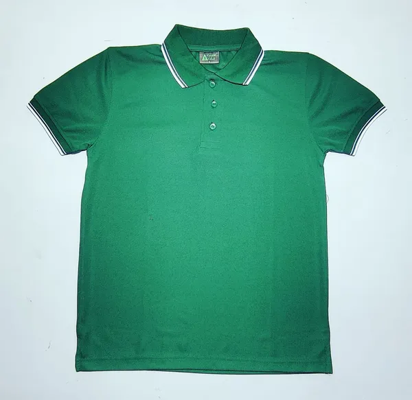 Green_Textured_Regular_Fit_Polo_T-Shirt_for_Men