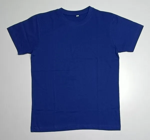 Blue_Regular_Fit_Round_Neck_T-Shirt_for_Men