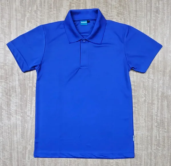 Blue_Regular_Fit_Polo_T-Shirt_for_Men