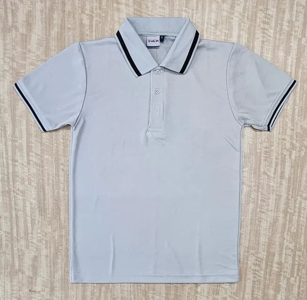 Light_Blue_Regular_Fit_Polo_T-Shirt_for_Men