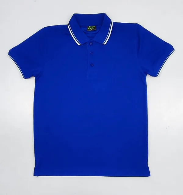 Blue_Regular_Fit_Polo_T-Shirt_for_Men