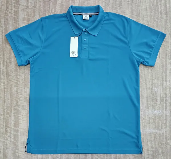 Blue_Regular_Fit_Polo_T-Shirt_for_Men