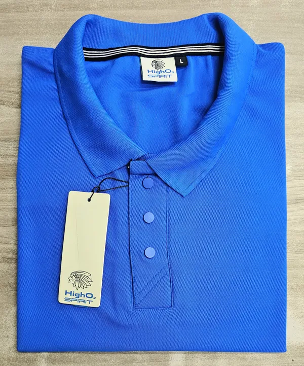 Blue_Regular_Fit_Polo_T-Shirt_for_Men