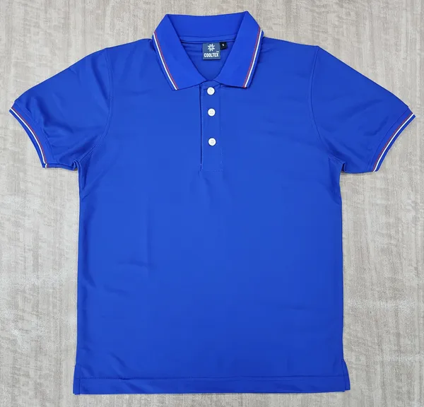 Blue_Regular_Fit_Polo_T-Shirt_for_Men