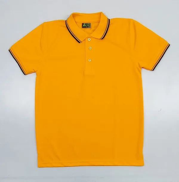 Orange_Regular_Fit_Polo_T-Shirt_for_Men