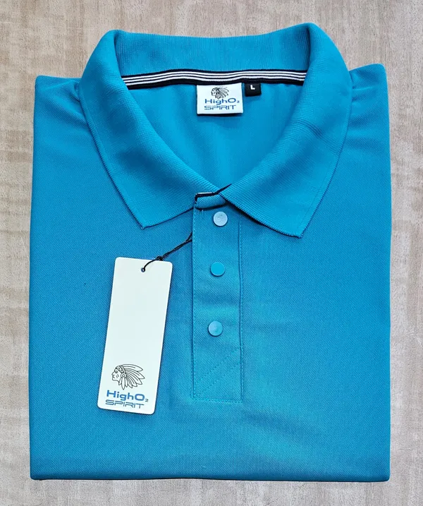 Blue_Regular_Fit_Polo_T-Shirt_for_Men