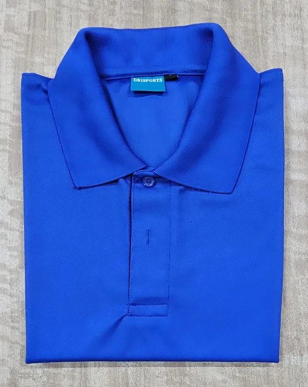 Blue_Regular_Fit_Polo_T-Shirt_for_Men
