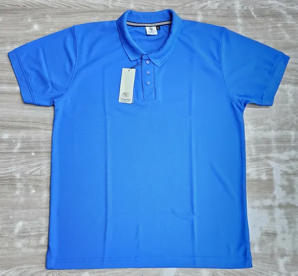Blue_Regular_Fit_Polo_T-Shirt_for_Men