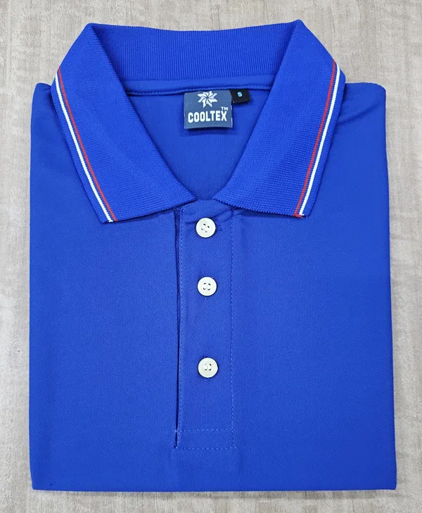 Blue_Regular_Fit_Polo_T-Shirt_for_Men